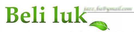 Sok od bijelog luka