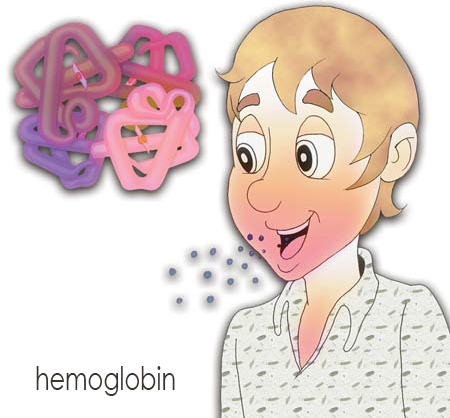 jabuka hemoglobin